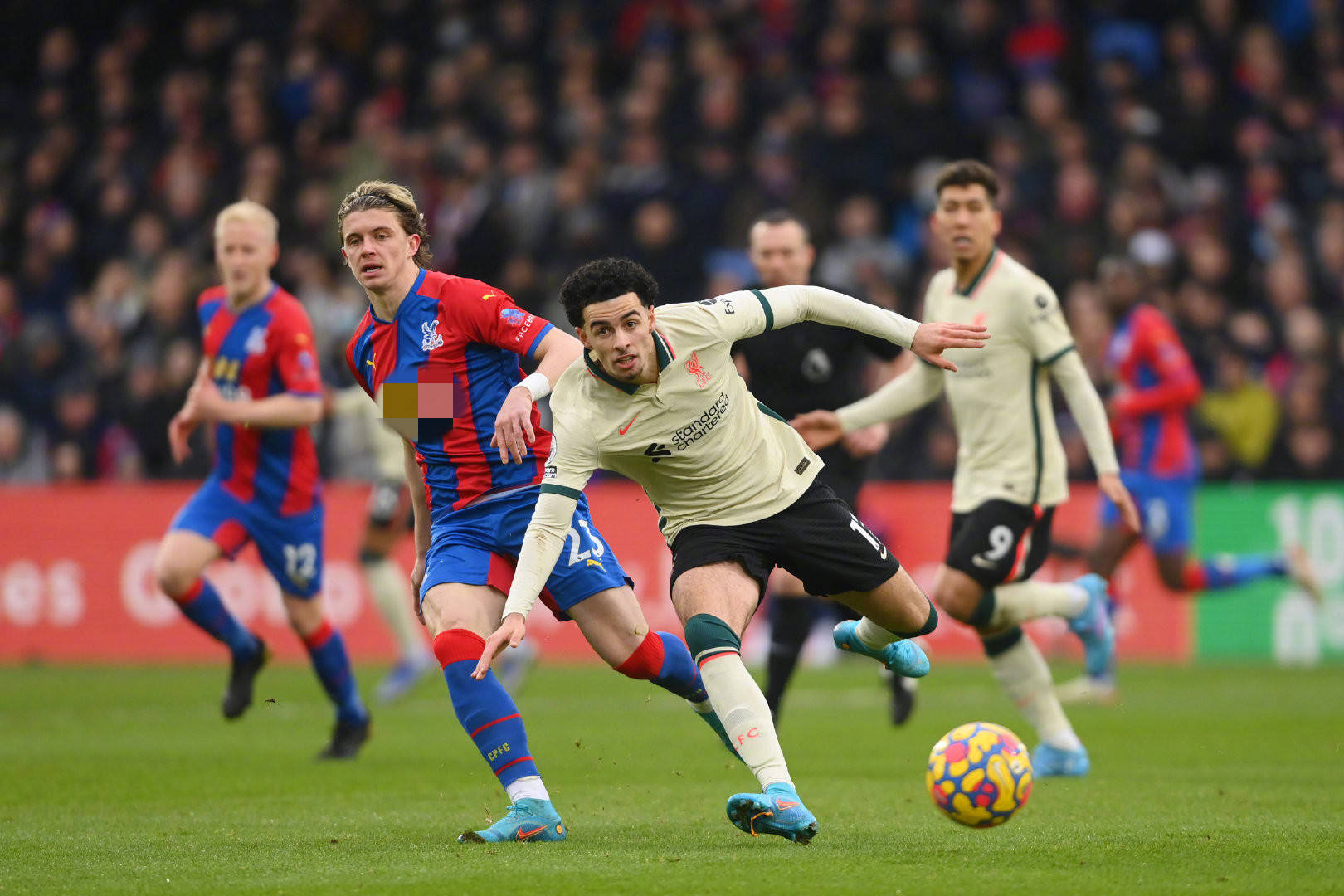 不仅是广东 不仅是广东